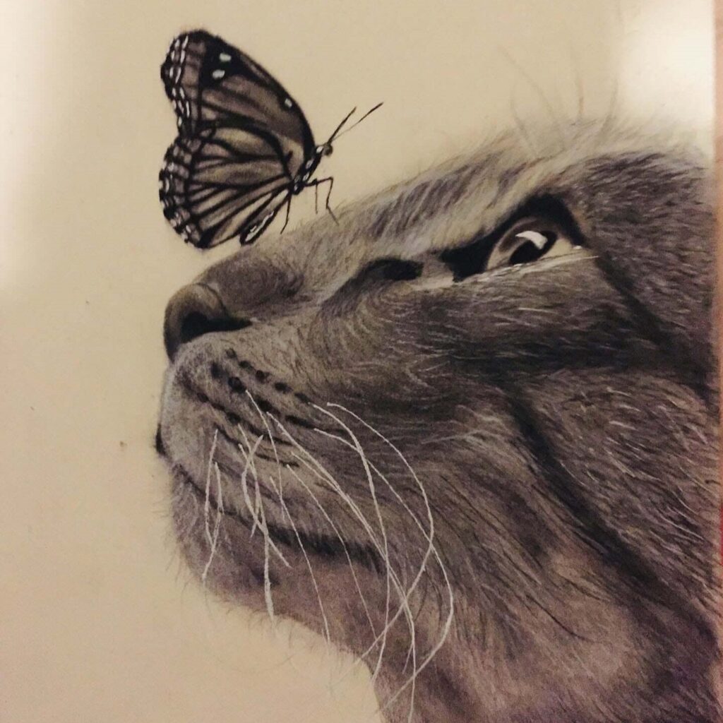 what i create