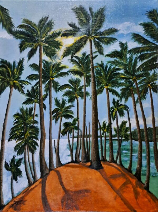 mirissa mirissa