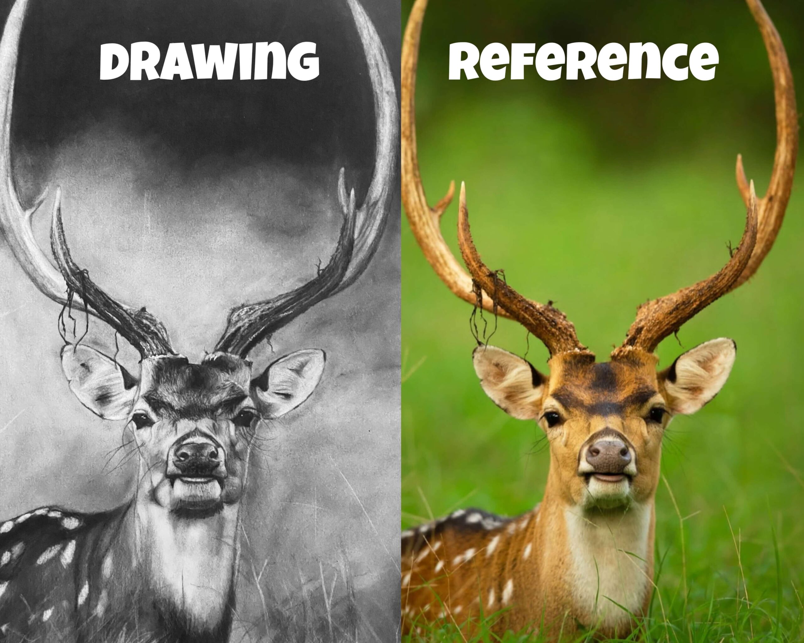 From reference to artwork by Nuwi Arts